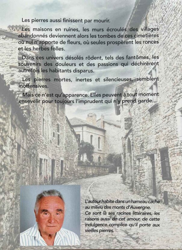 Résumé Le Retour du Guitariste